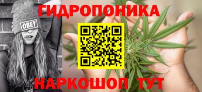 mdpv Вышний Волочёк